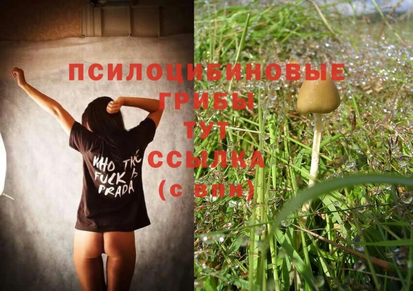 mdpv Абдулино