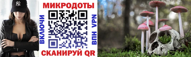 Псилоцибиновые грибы мицелий  ссылка на мегу зеркало  Лабытнанги 